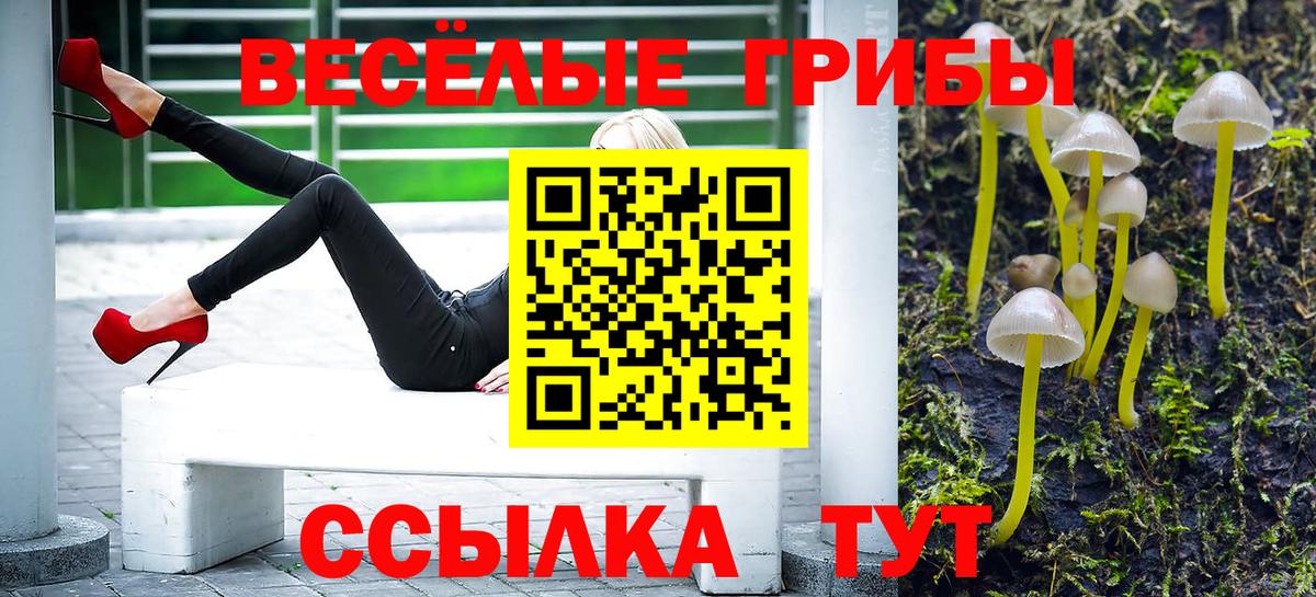Псилоцибиновые грибы MAGIC MUSHROOMS Старая Купавна