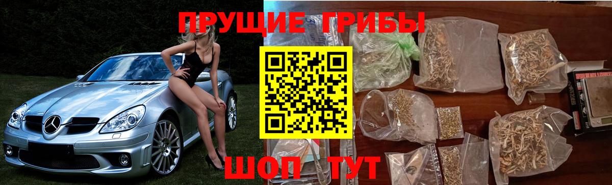 Псилоцибиновые грибы Psilocybe  Вход с VPN  магазин продажи наркотиков  Старая Купавна 
